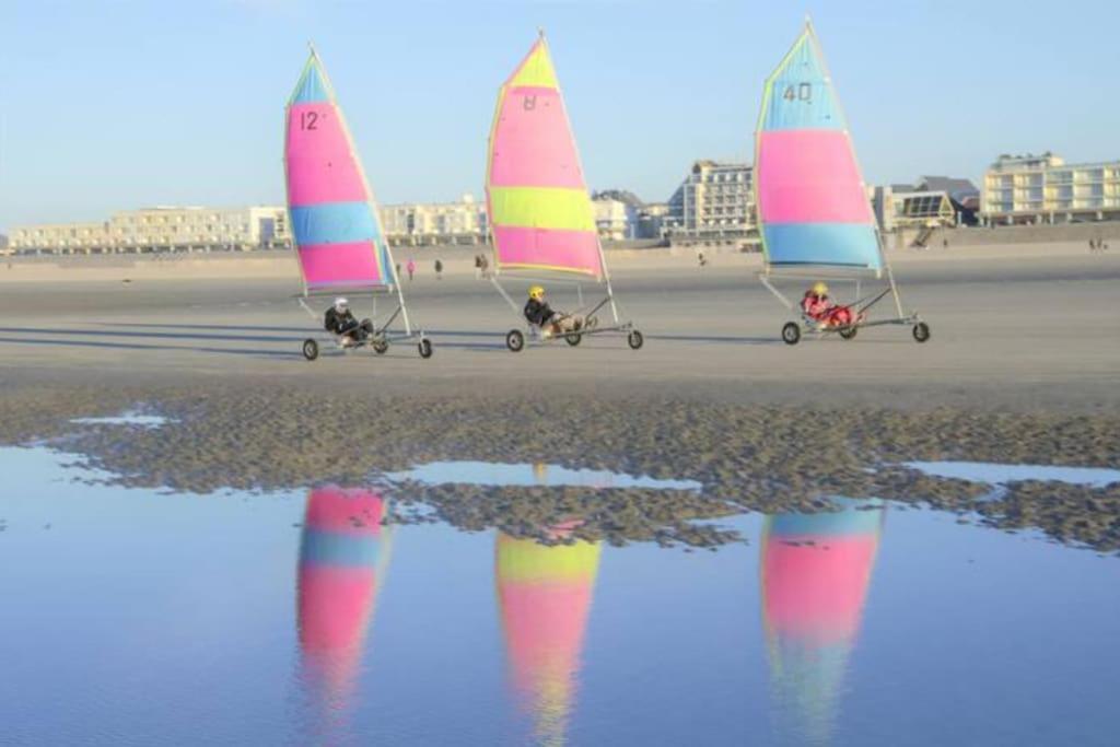 Appartamento Cozy D'Opale Charmant T1 Bord De Mer Cour Privee Et Clot Wifi 3 Pers Animaux Acceptes Gratuit Berck Esterno foto