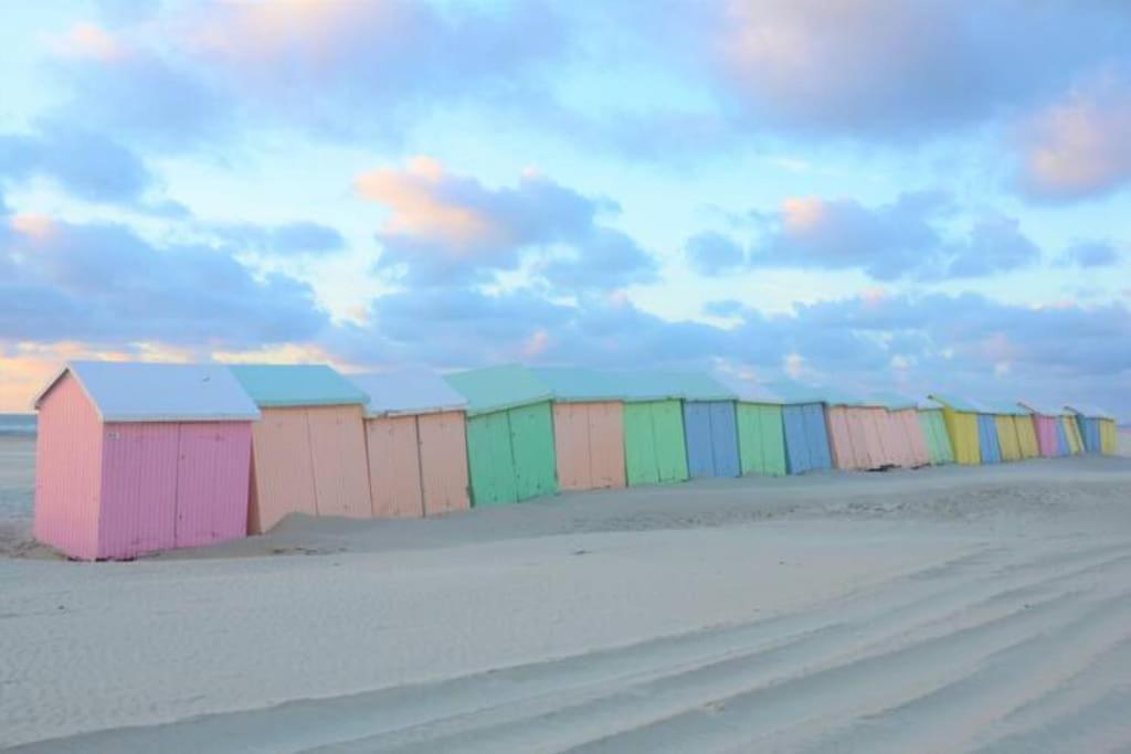 Appartamento Cozy D'Opale Charmant T1 Bord De Mer Cour Privee Et Clot Wifi 3 Pers Animaux Acceptes Gratuit Berck Esterno foto